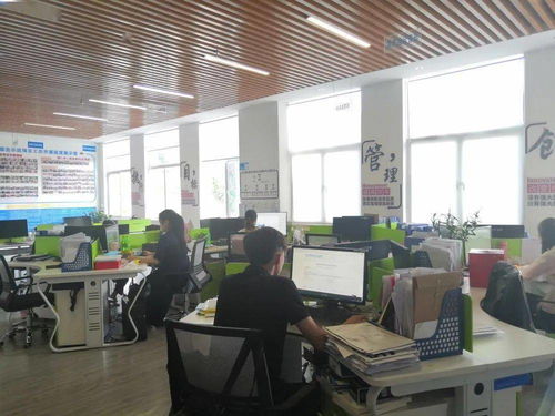 保亭縣電子商務(wù)公共服務(wù)中心誠(chéng)邀英才，共促商務(wù)信息咨詢服務(wù)發(fā)展