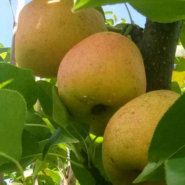 寧蒗縣電子商務(wù)公共服務(wù)中心 聚焦高原特色優(yōu)質(zhì)農(nóng)產(chǎn)品，發(fā)布供求信息與商務(wù)咨詢服務(wù)