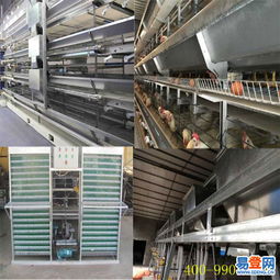 中區(qū)專業(yè)機械設(shè)備安裝服務 高效、安全、可靠