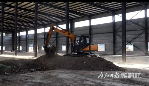 總投資4000萬元 隆昌年產600萬套寵物用品生產基地項目建設進展順利